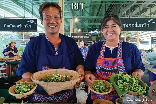 ยกระดับเกษตรกรอินทรีย์สู่แม่ค้าออนไลน์ ผ่านแอปพลิเคชัน Thai Organic Platform