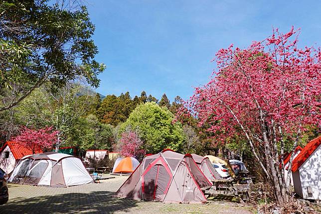 圖片來源/IG @eeooa0314 授權使用