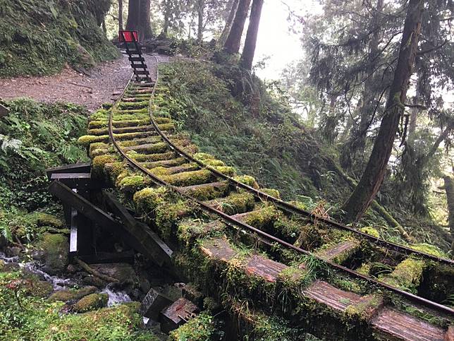 ▲見晴懷古步道可看到早期運送木材的鐵軌。（圖／奧丁丁體驗）