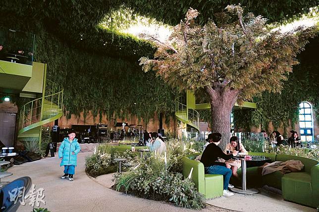 咖啡店內種滿綠色植物，用餐期間有如被樹林環抱。（張淑媚攝）