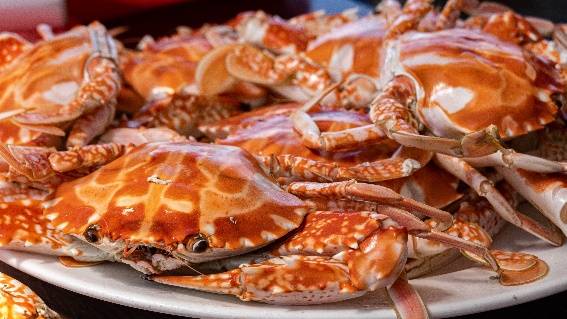 ▲想品嚐萬里蟹最天然的味道，清蒸是能品嘗到好滋味的最好方式。（圖/　新北市農業局）