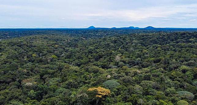 An aerial drone photo taken on Sept. 19, 2024, shows a forest of Deng Deng National Park in the East Region of Cameroon. (Photo by Kepseu/Xinhua)