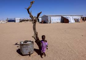 2025年11月22日，查德東部的臨時難民營，逃離蘇丹法舍的5歲女童伊薩倚樹而立。路透社