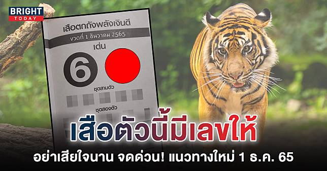 เริ่ม! หวยงวดนี้ เสือตกถังพลังเงินดี เลขเด็ด 1 12 65 จดไว้ปลอบใจก่อน