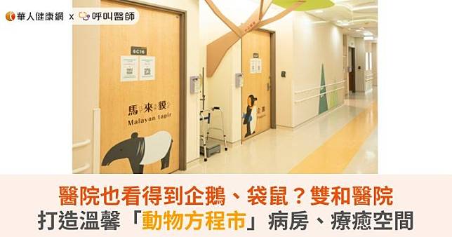 醫院也看得到企鵝、袋鼠？雙和醫院打造溫馨「動物方程市」病房、療癒空間