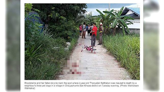泰國一名4歲女童日前在戶外玩耍，結果遭鄰居飼養的3隻狗咬死。(圖／翻攝自曼谷郵報)