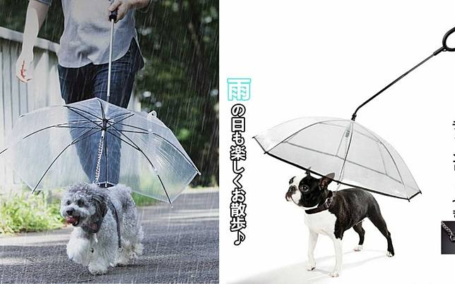 雨天遛狗也沒問題！下雨也能帶著狗狗輕便散步的「寵物雨傘」