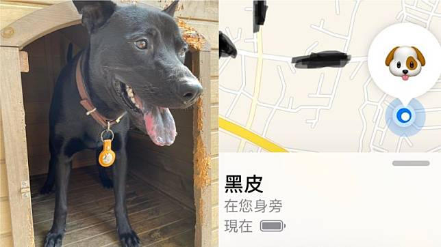 ▲原PO幫愛犬掛上防丟失神器「AirTag」，下場卻ＧＧ了（圖／翻攝自PTT）