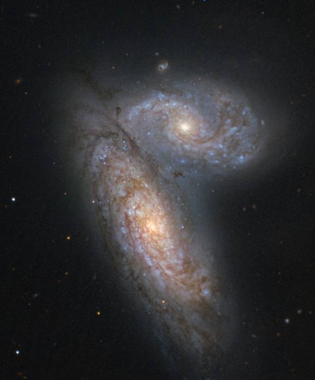 由兩個星系 NGC 4567 和 NGC 4568相互糾纏在一起的「蝴蝶星系」。   圖:翻攝自維基百科 Judy Schmidt