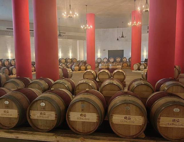 This photo taken on April 10, 2024 shows oak barrels in the Domaine de Long Dai winery in Penglai District of Yantai, east China's Shandong Province. (Xinhua/Shao Kun)