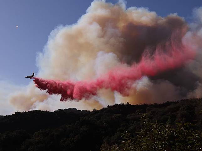 A firefighting airplane drops retardant to prevent the wildfire from spreading further on the hills of Mandeville Canyon in Los Angeles, California, the United States, on Jan. 11, 2025. (Photo by Qiu Chen/Xinhua)