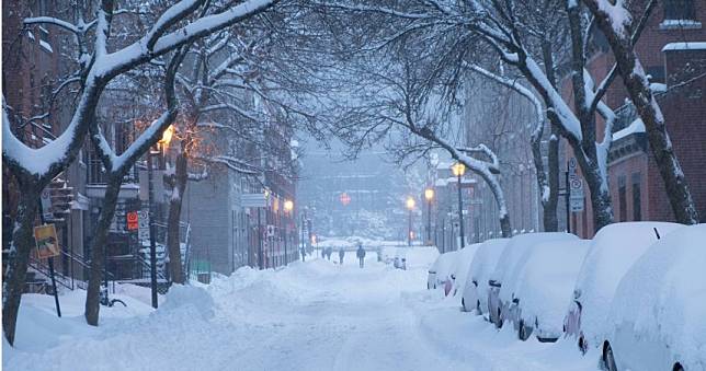 極地寒流襲美！美國東岸大雪　女子在後院遛狗被凍斃