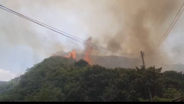 後龍好望角風景區傳出山林大火，苗栗消防隊正灌救中。(記者鄭名翔翻攝)