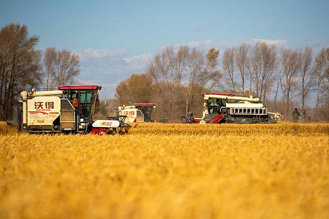 Agricultural machines work in fields at a farm of Beidahuang Group in northeast China's Heilongjiang Province, Oct. 12, 2024. (Xinhua/Zhang Tao)