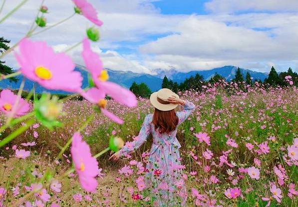 圖片來源：IG @ve_dj23