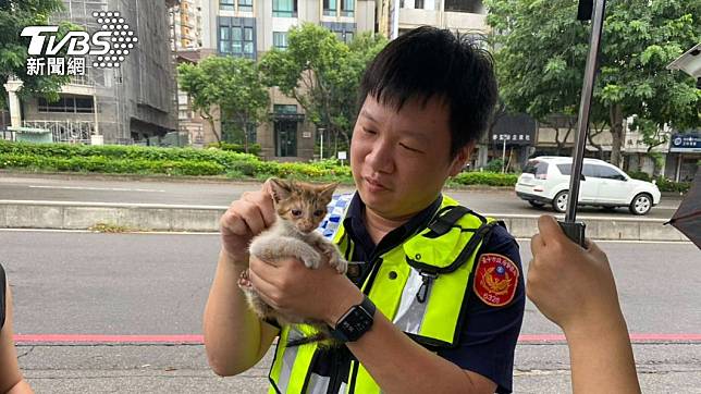 暖警救出小奶貓。（圖／TVBS）