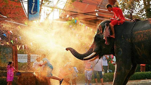 泰國潑水節大象潑水